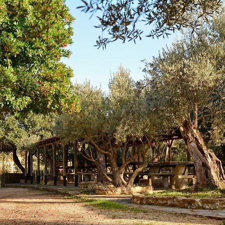 Camping Alquezar Luaran gambar