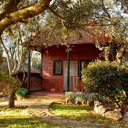 Camping Alquezar Luaran gambar