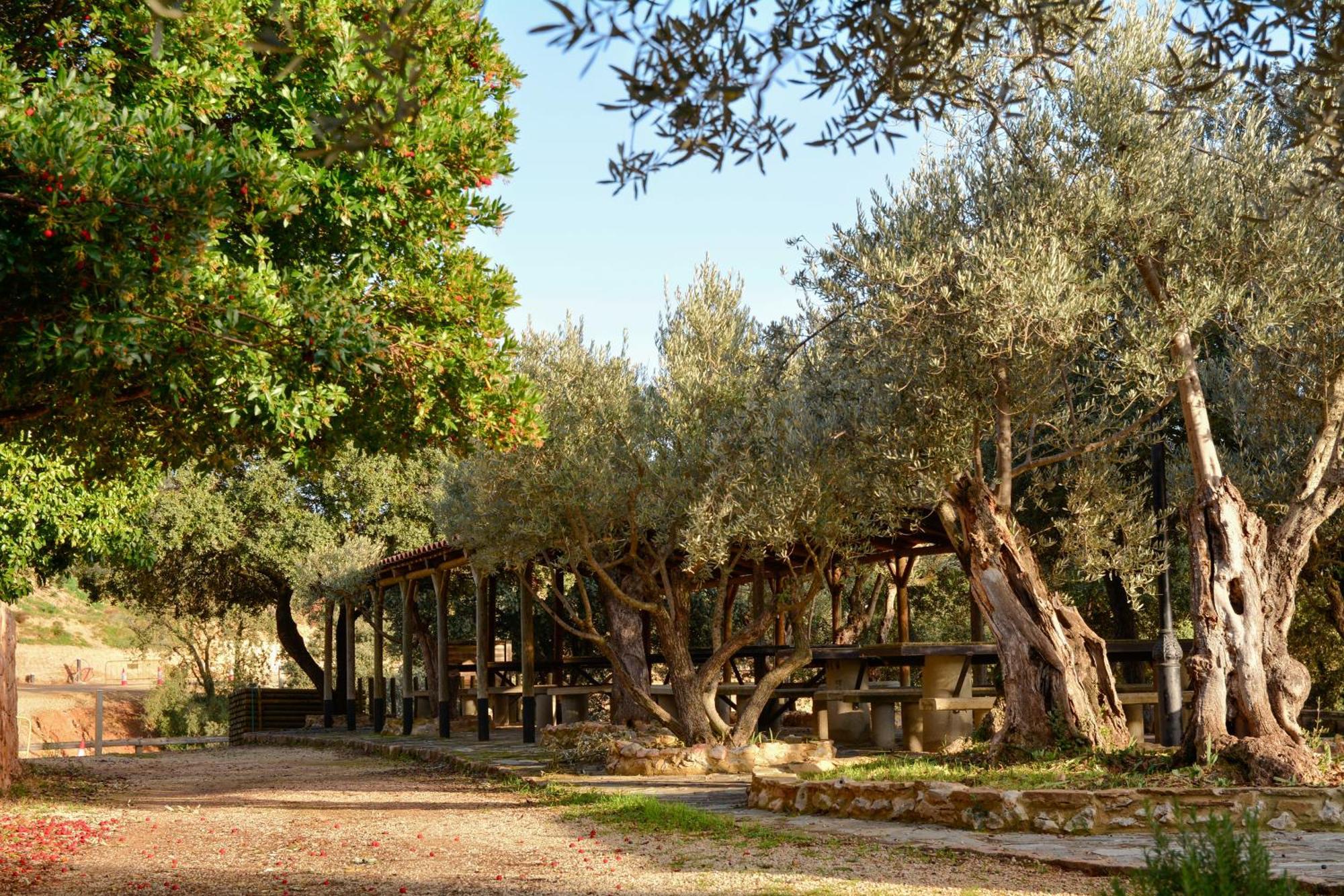 Camping Alquezar Luaran gambar