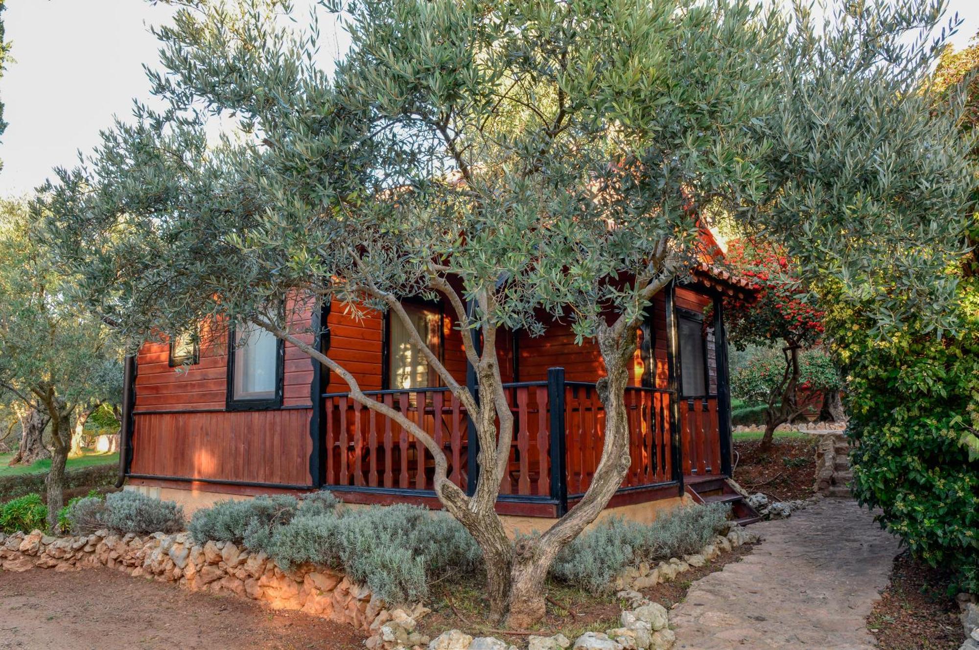 Camping Alquezar Luaran gambar