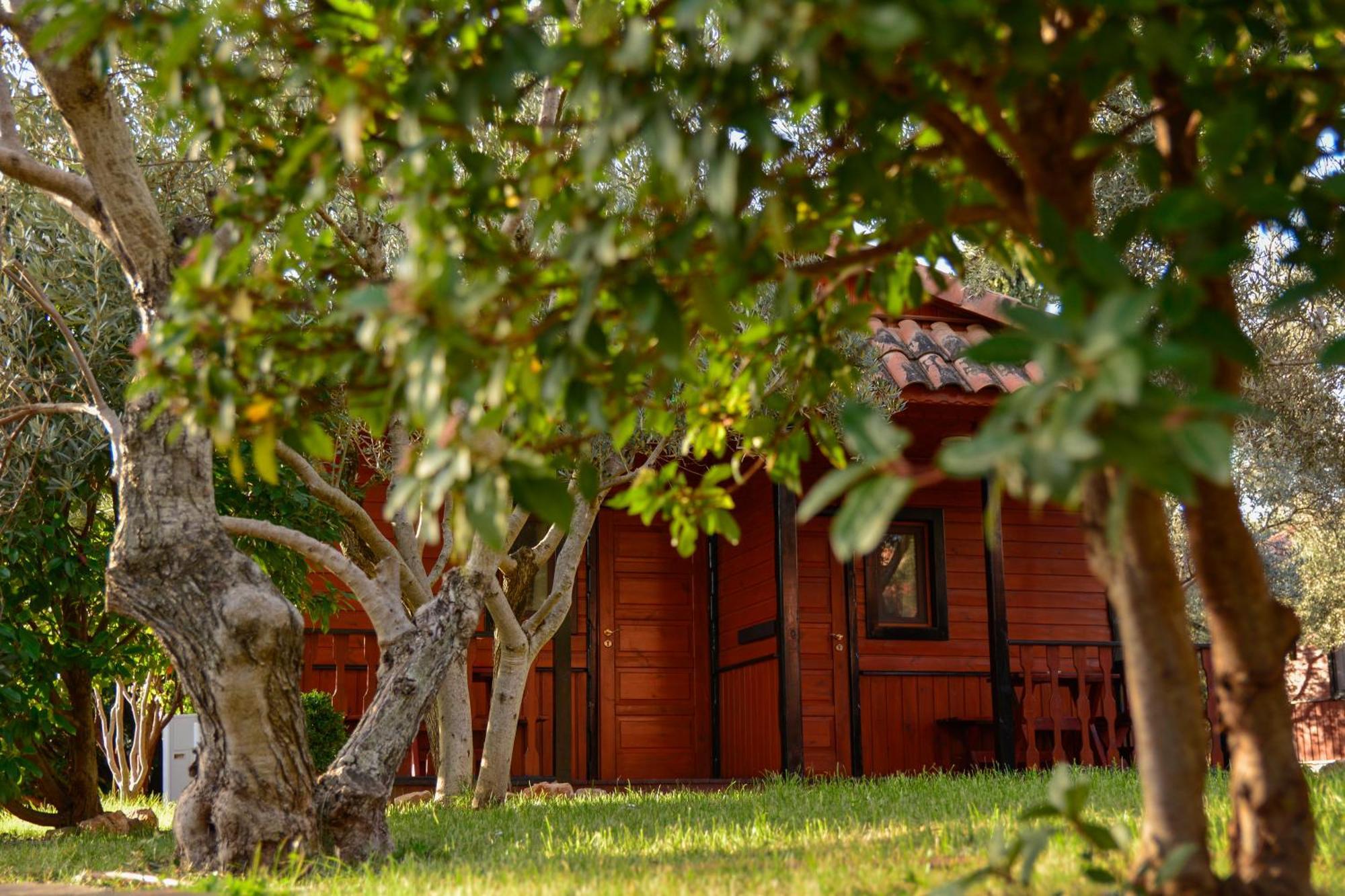 Camping Alquezar Luaran gambar